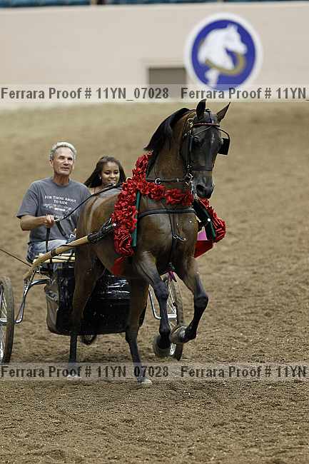 Proof 11yn_07028