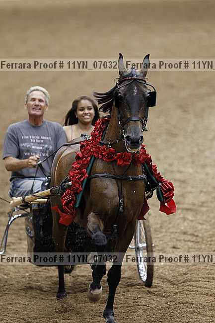 Proof 11yn_07032