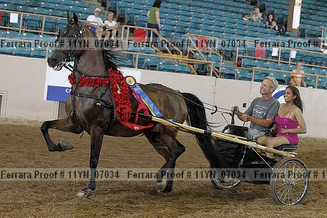 Proof 11yn_07034