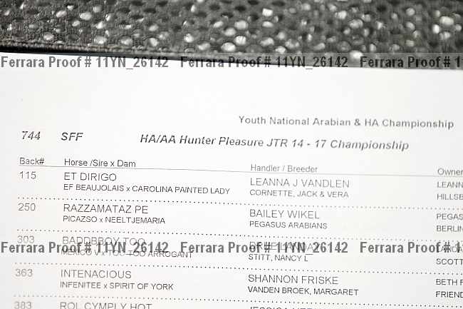 Proof 11yn_26142