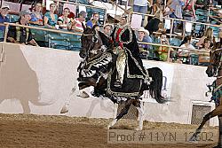 11yn_12502 proof