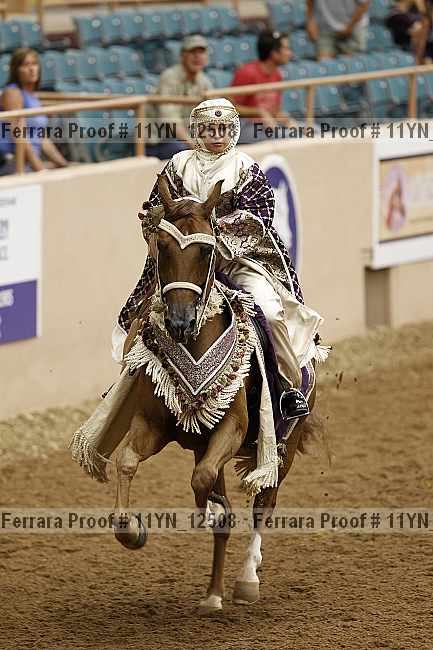 Proof 11yn_12508