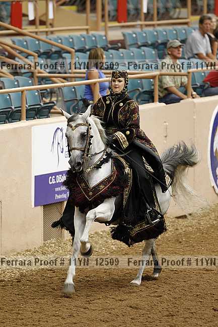 Proof 11yn_12509