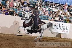 11yn_12513 proof