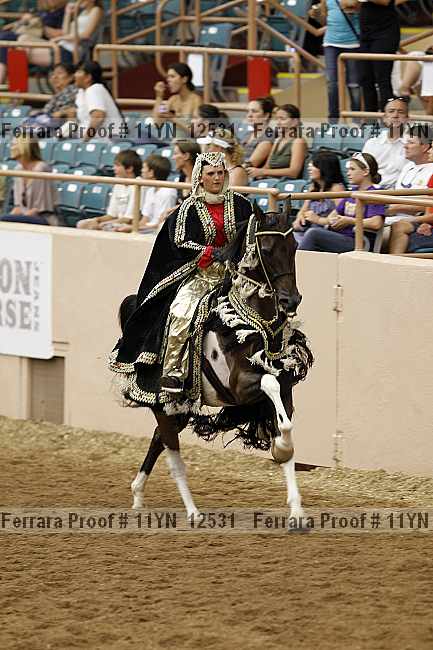 Proof 11yn_12531