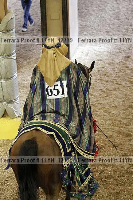 Proof 11yn_12779