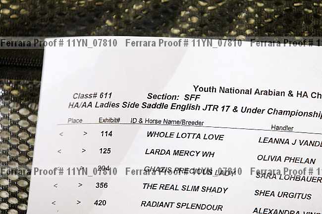 Proof 11yn_07810