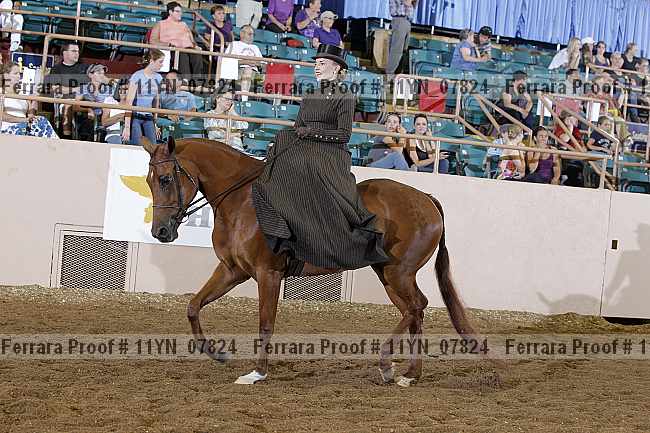Proof 11yn_07824