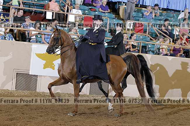 Proof 11yn_07839
