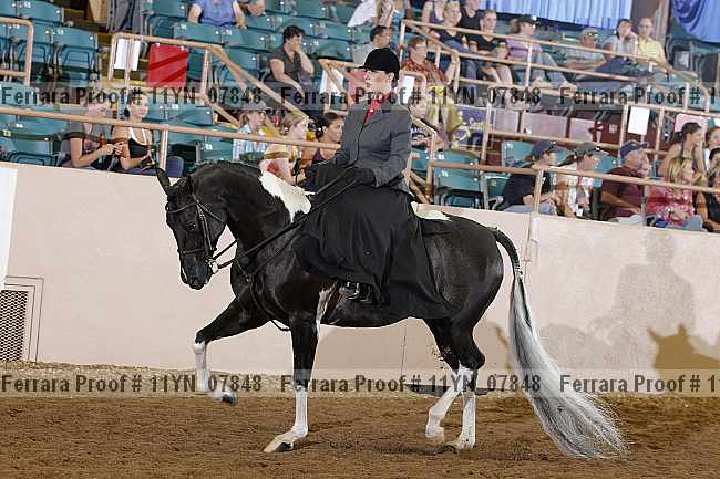 Proof 11yn_07848