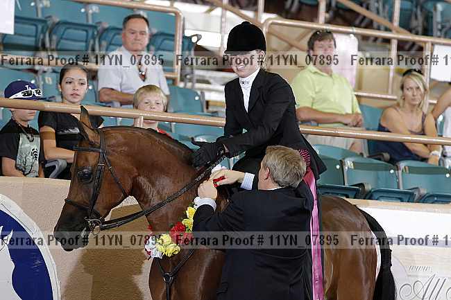 Proof 11yn_07895