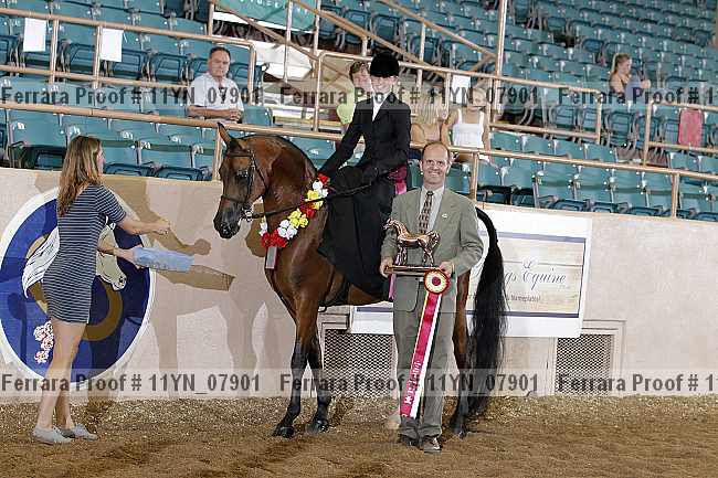 Proof 11yn_07901