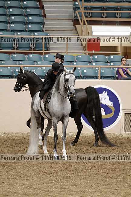 Proof 11yn_07919