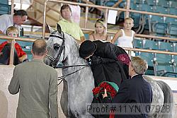 11yn_07928 proof