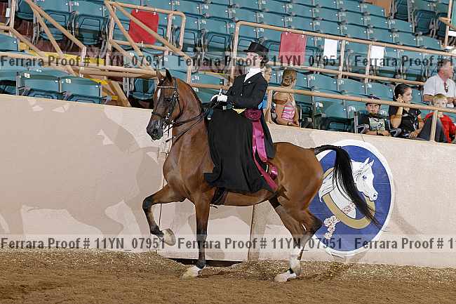 Proof 11yn_07951