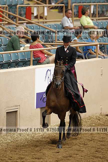 Proof 11yn_07960