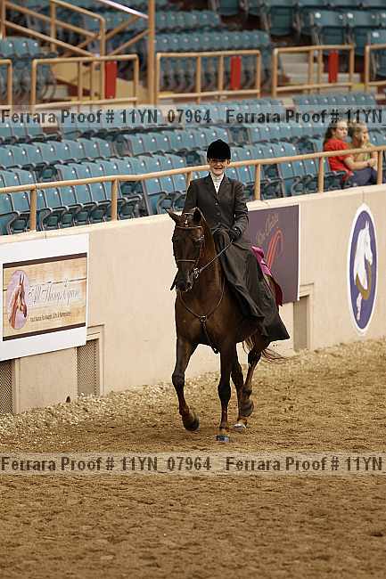 Proof 11yn_07964