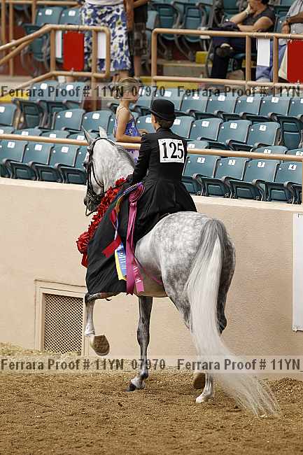 Proof 11yn_07970