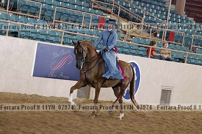 Proof 11yn_07974