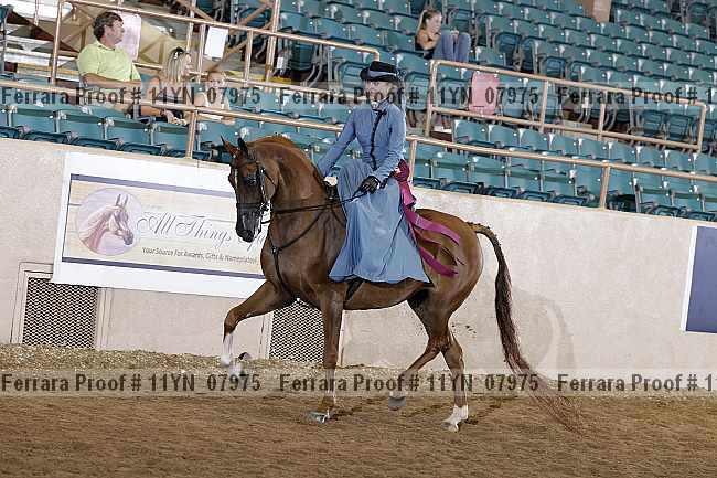Proof 11yn_07975