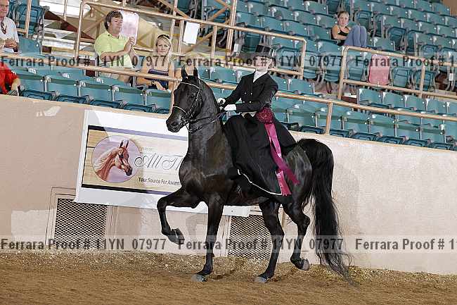 Proof 11yn_07977