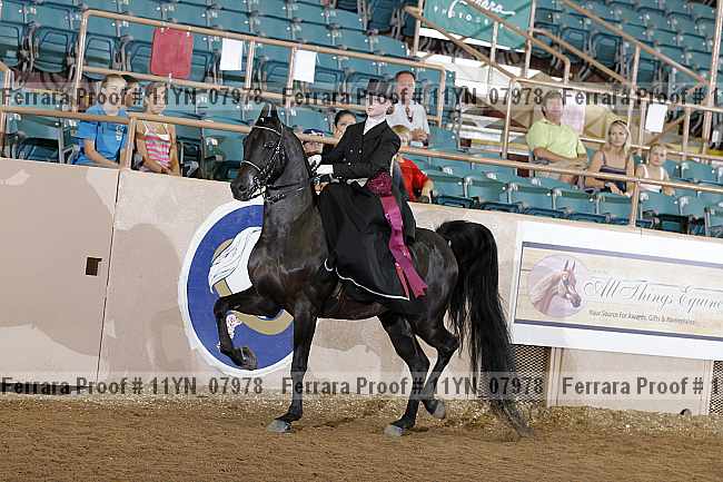 Proof 11yn_07978