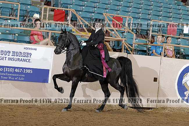 Proof 11yn_07979