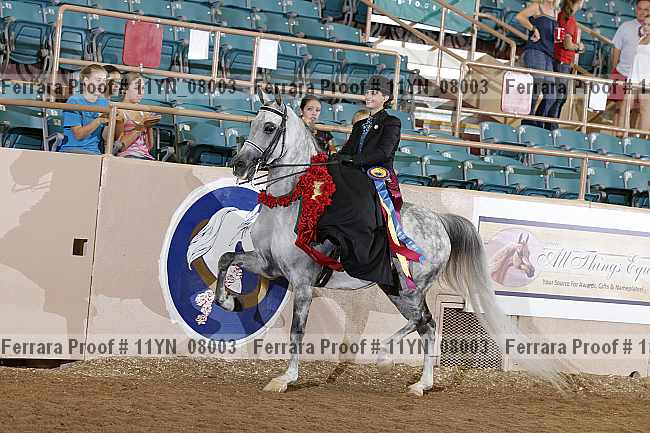 Proof 11yn_08003