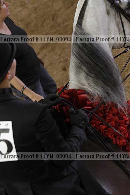 Proof 11yn_08004