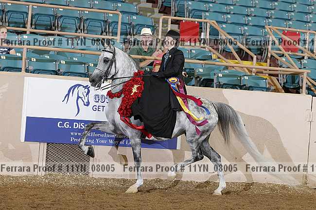 Proof 11yn_08005
