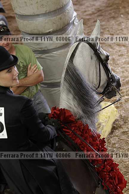Proof 11yn_08006