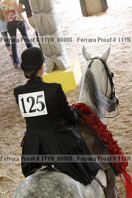 Proof 11yn_08008