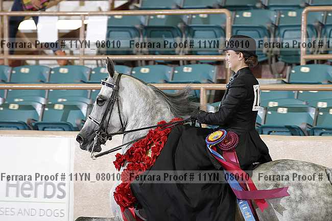 Proof 11yn_08010