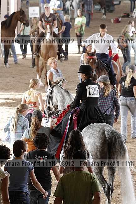 Proof 11yn_08012