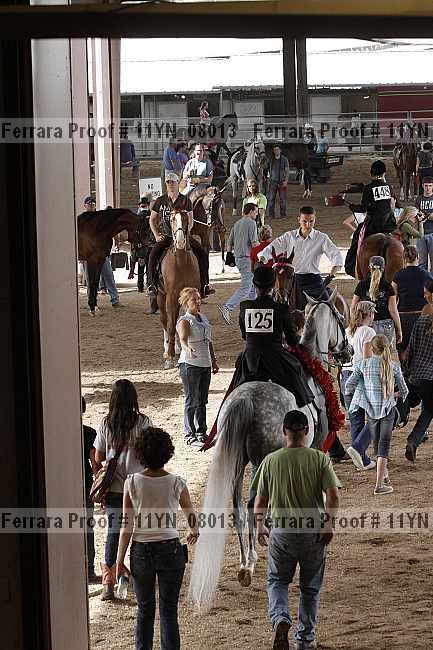 Proof 11yn_08013