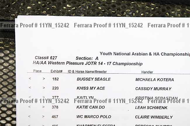 Proof 11yn_15242