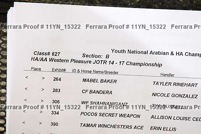 Proof 11yn_15322