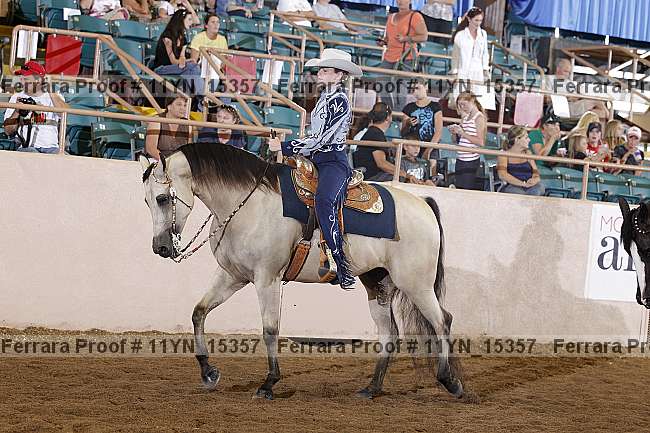 Proof 11yn_15357