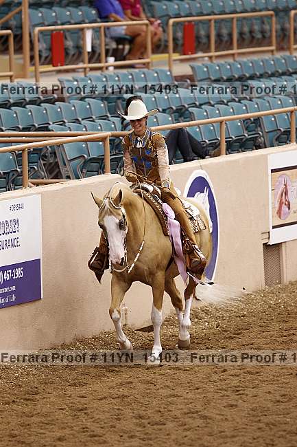 Proof 11yn_15403