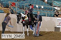 11yn_29450 proof