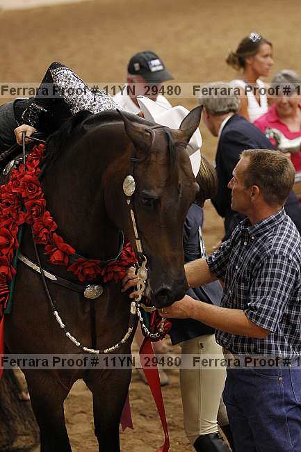 Proof 11yn_29480