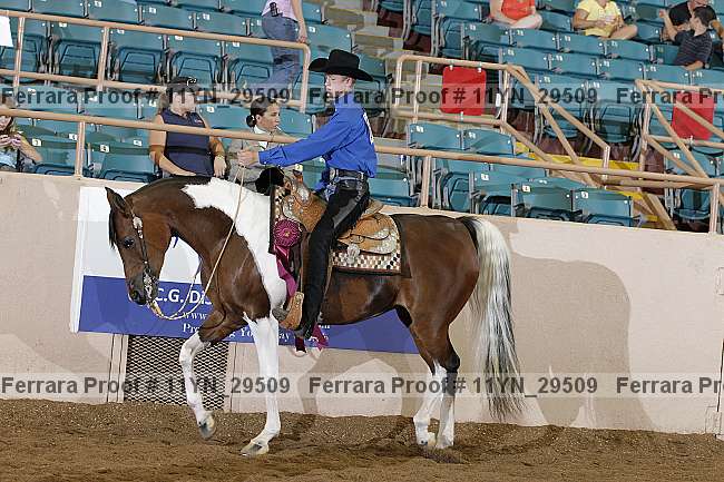 Proof 11yn_29509