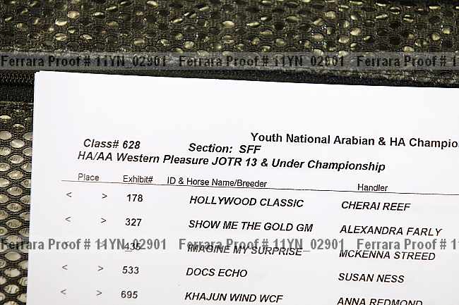 Proof 11yn_02901