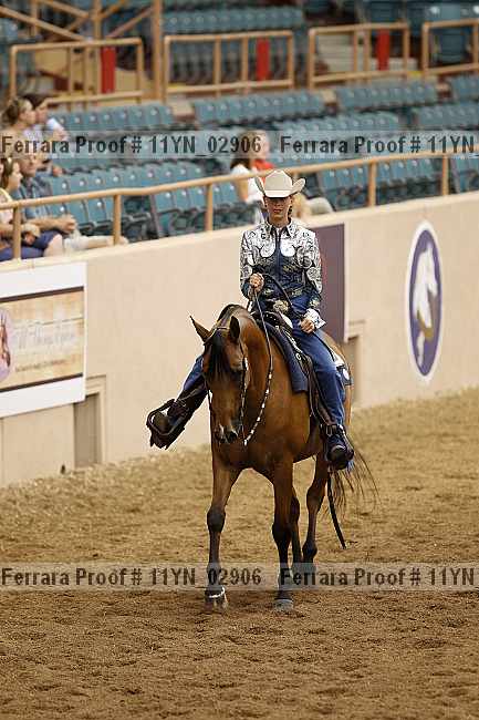 Proof 11yn_02906
