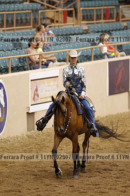 Proof 11yn_02907