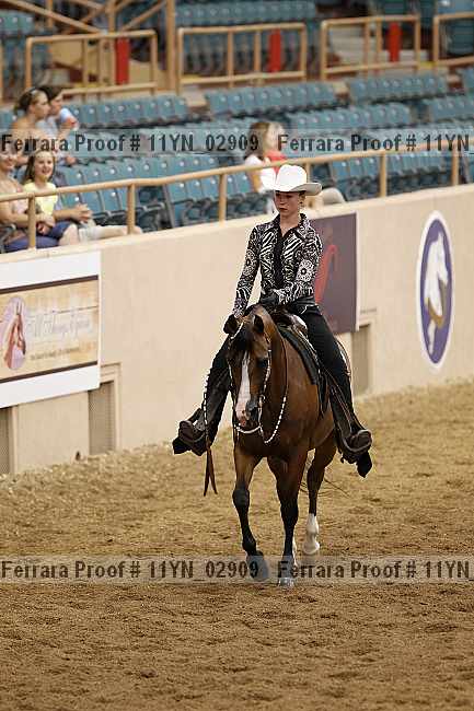 Proof 11yn_02909