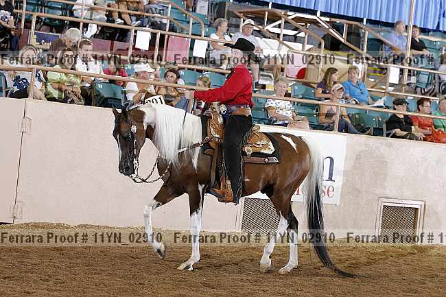 Proof 11yn_02910