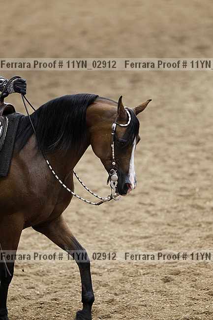 Proof 11yn_02912
