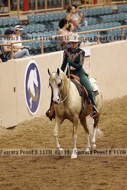Proof 11yn_02918