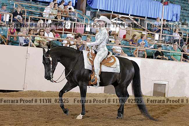 Proof 11yn_02925